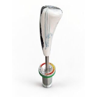 Focus 21 B Gummi HT